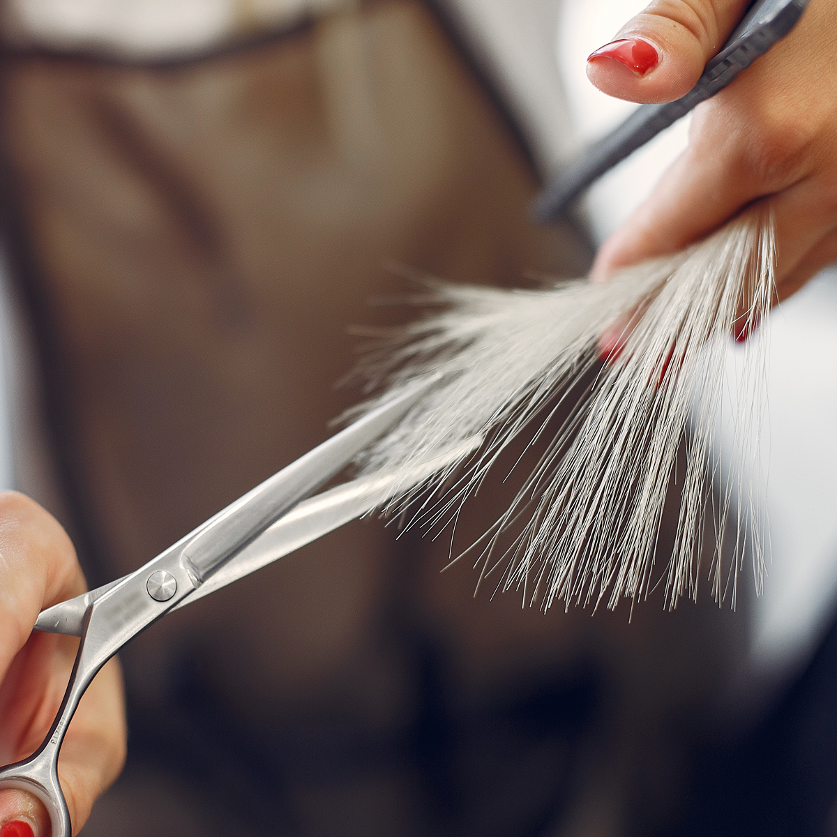 Haare werden geschnitten